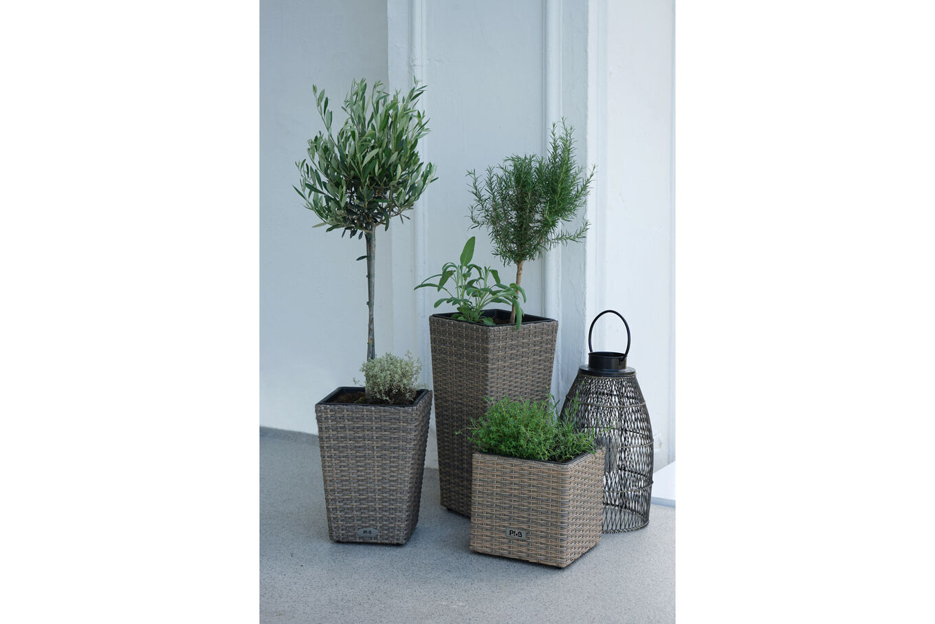 33754  5 6fcb69155c628864c708dbb2aadb9c6f3c9461fc