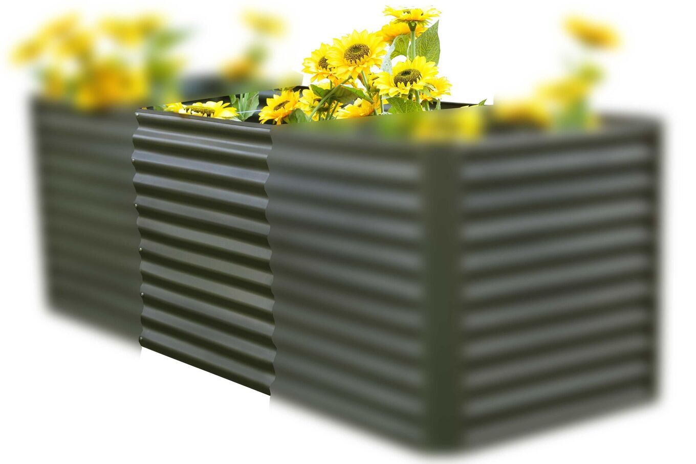 14890  1 78781eea6bc714a1606f937e851f27cb2922d4af