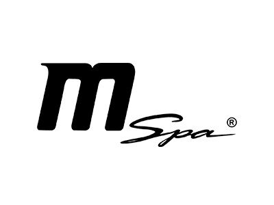 mspa logo 2021