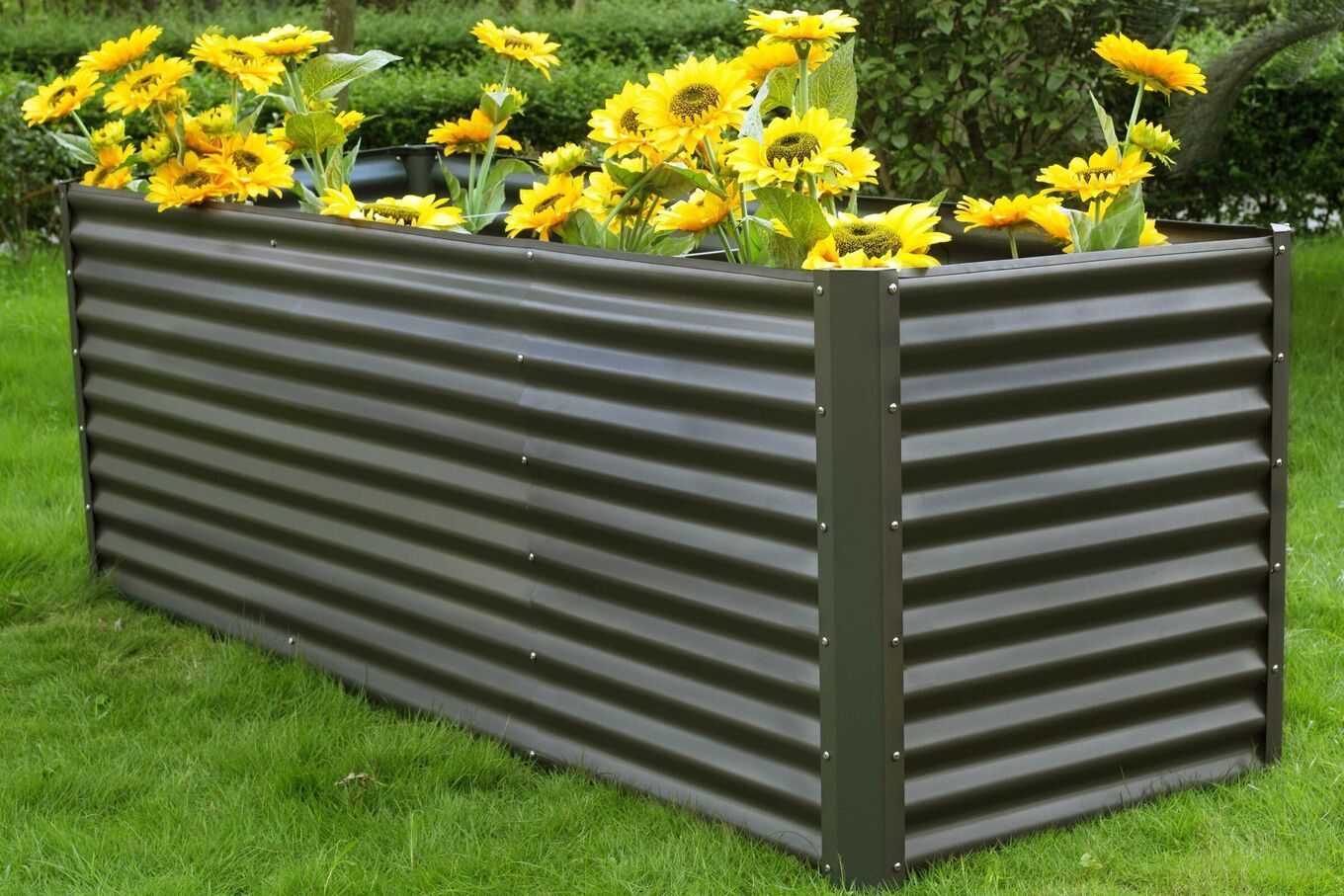 16093  3 18da2186705918c010b3516b1d6ad06a70f34c93