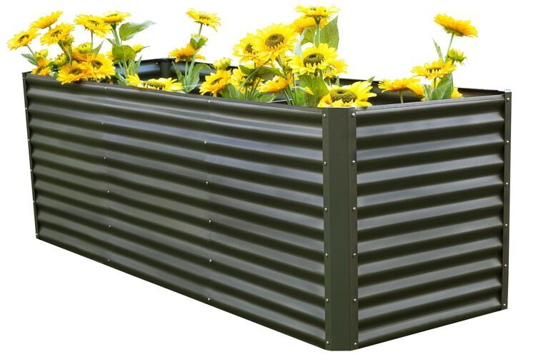 16091  1 75e4f0acf8378b00d558af247876faebb3ac28b0