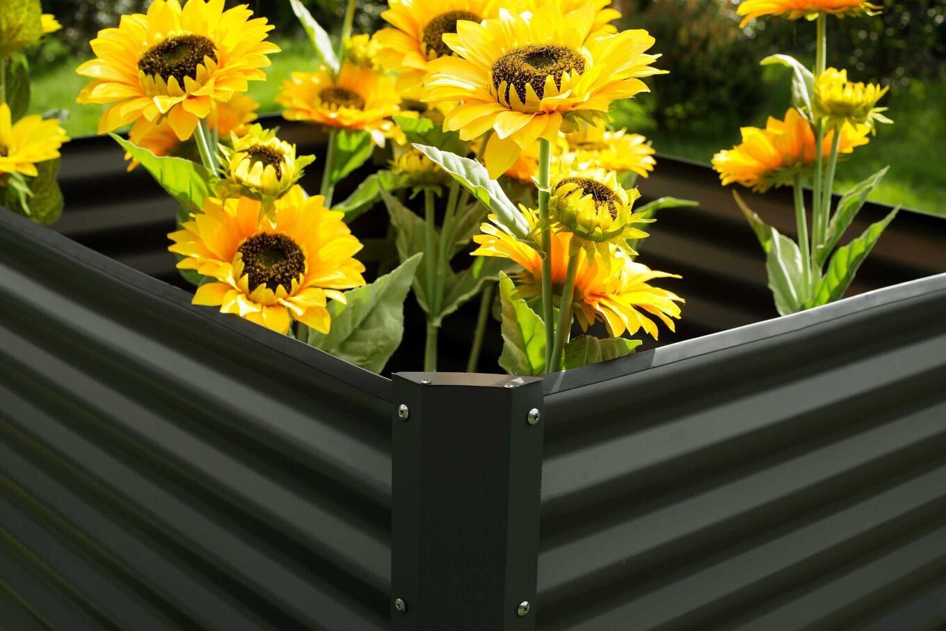 14249  4 4d95ff337b09d77a6797e33532050751fc23a233