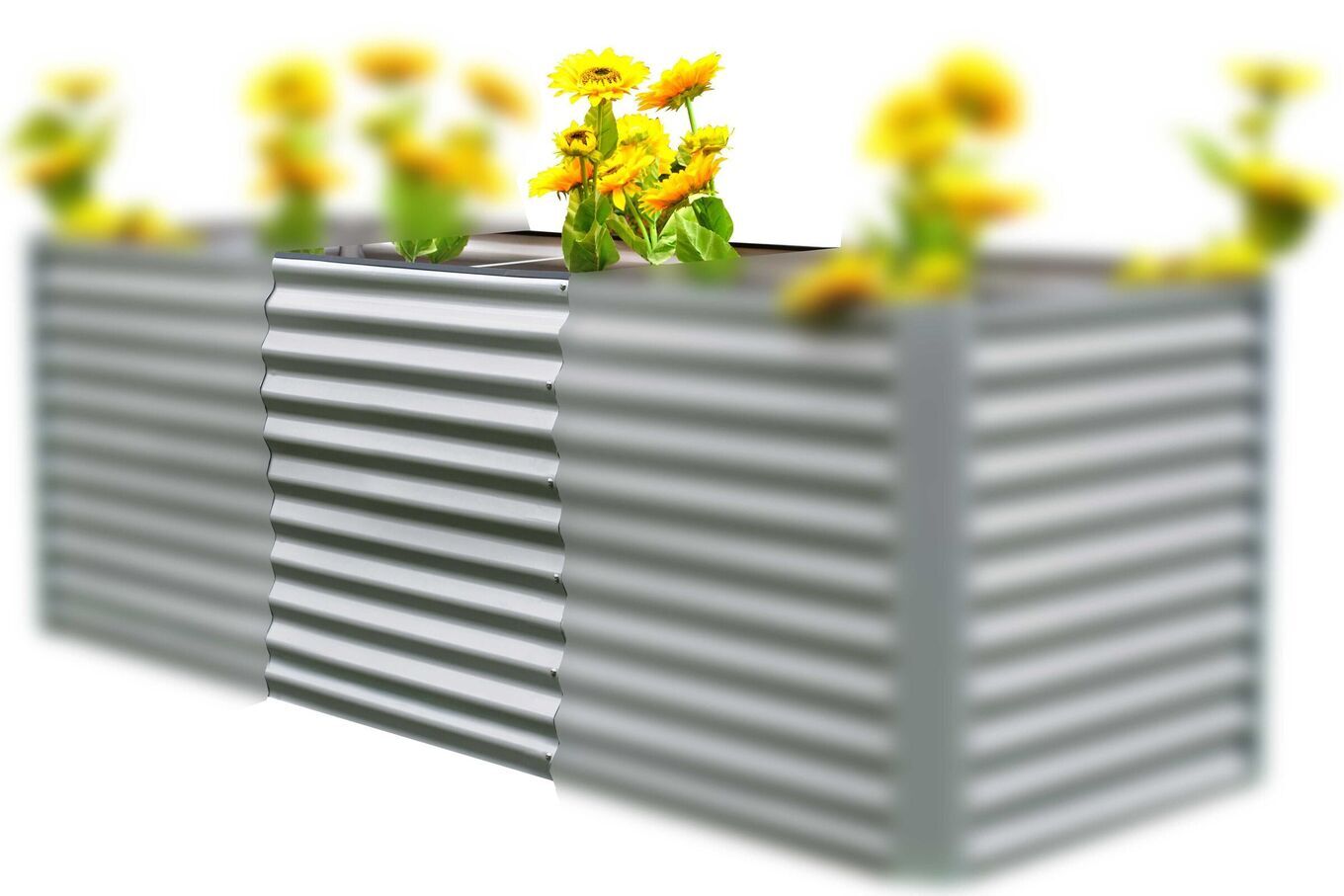 14891  1 df8bd0005ef70316359d3584e162d878624709fb