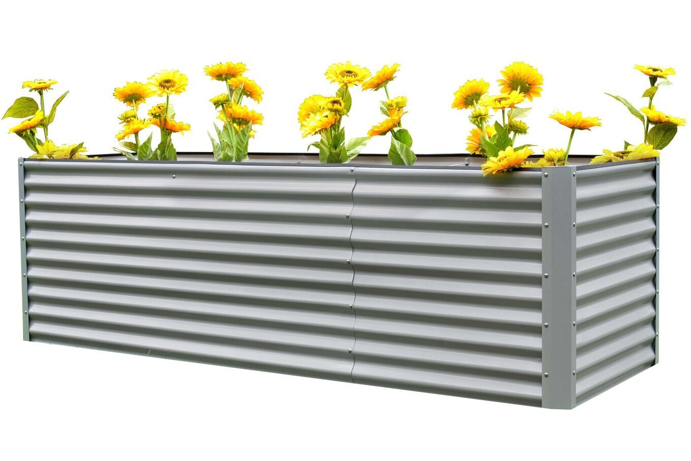 16094  1 7c10d384f54e15a9f8e79676d0ffd40706b2f1a2