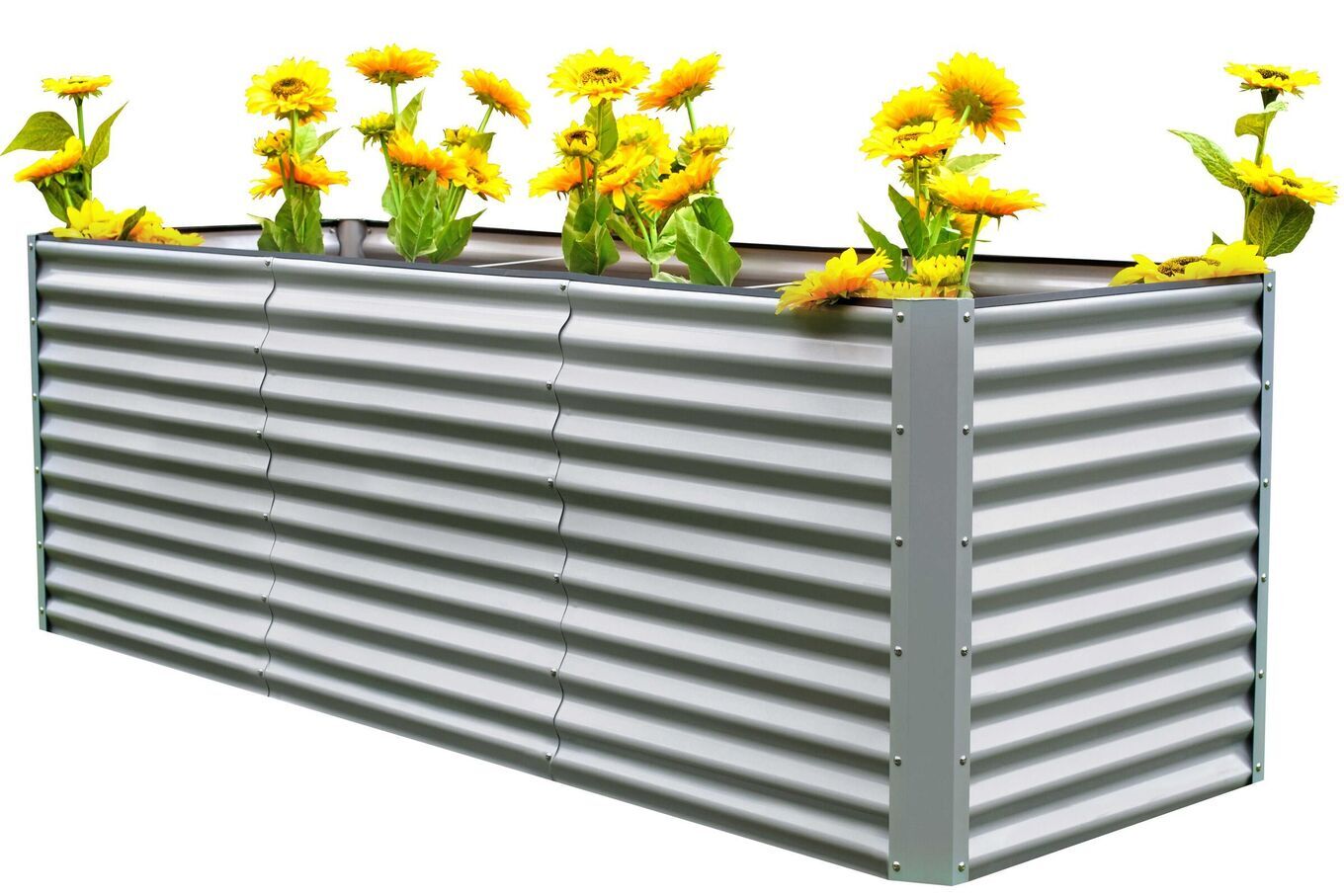 16092  1 7ed4d45b5f23922ce6a0fd82e894b15f170dc1cd