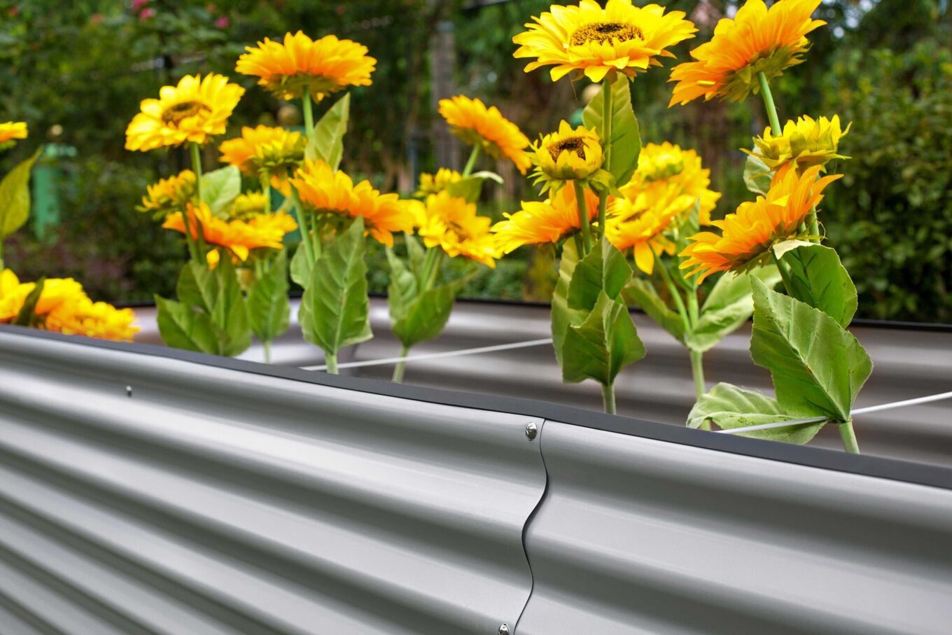 16094  6 2527de841e22d7352d3fdd303e16c7e87190610a