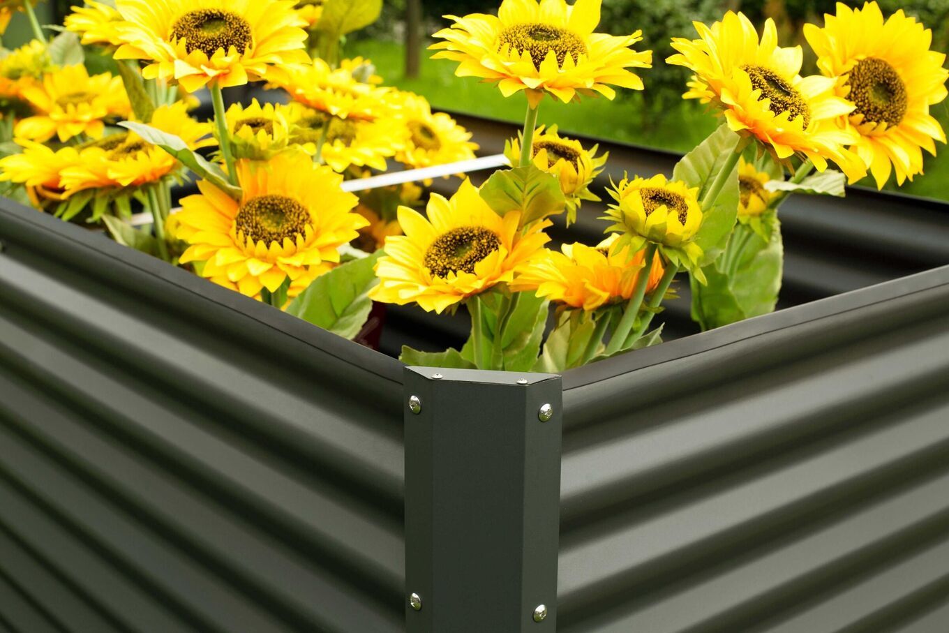 13726  7 c2396bb0a7433131eb8c73790eb9f5803db6b84c