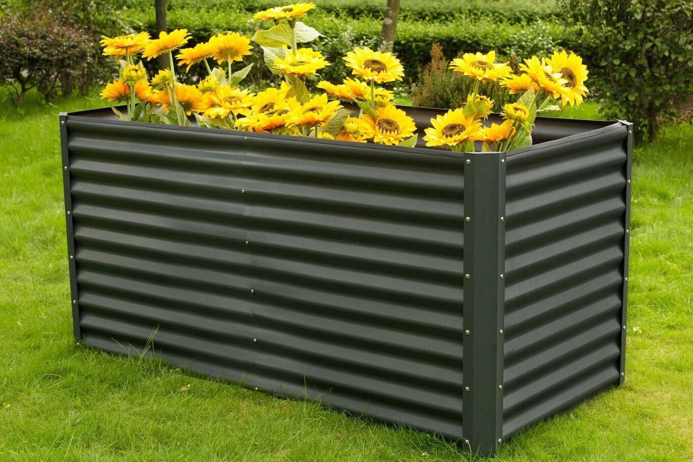 13726  1 1dd614f9c785922fa45ff87215448a4b18197b75